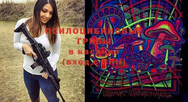 бошки Медногорск