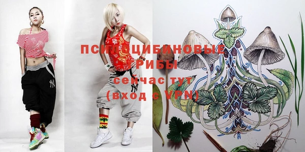 jwh Медвежьегорск