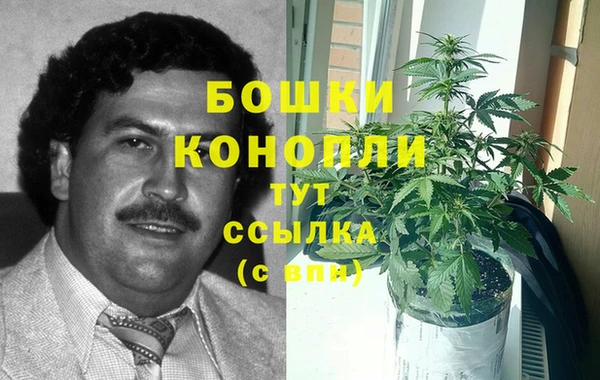 spice Мегион