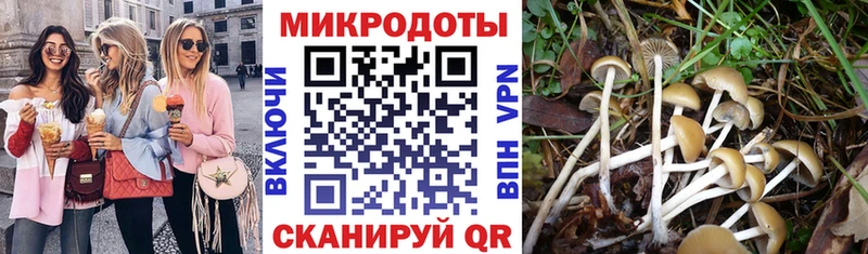 Галлюциногенные грибы прущие грибы  darknet телеграм  Киров  наркота 