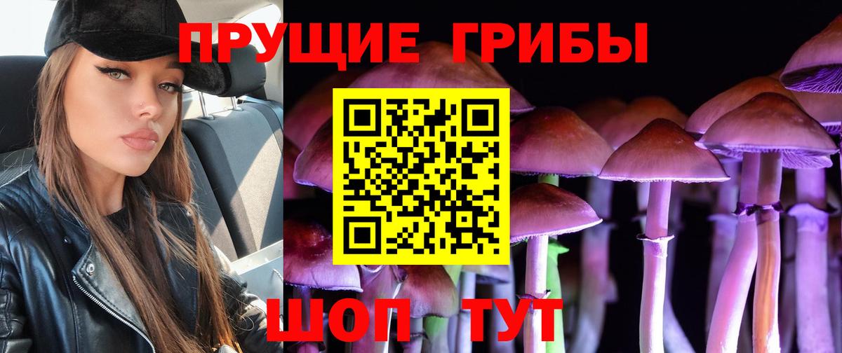 Киров  Галлюциногенные грибы мухоморы  Вход с VPN 