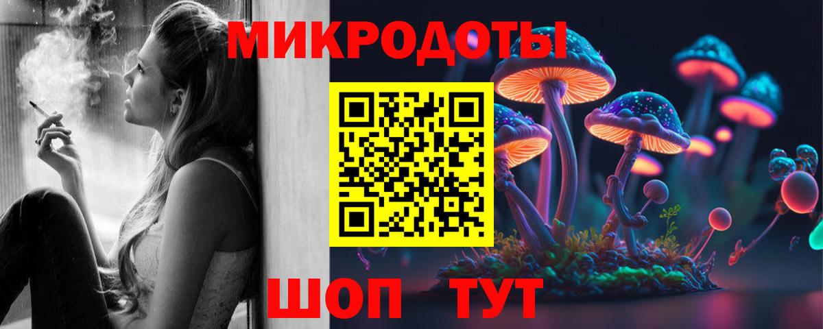 Галлюциногенные грибы Psilocybine cubensis Киров